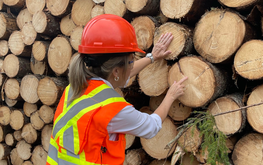 Women in hi-vis vest and hard hat pointing out age rings on pile of logs