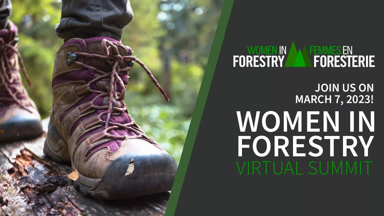 Women in Forestry Virtual Summit Event Promotion