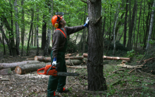Man standing by tree holding a chainsaw with felled logs behind him